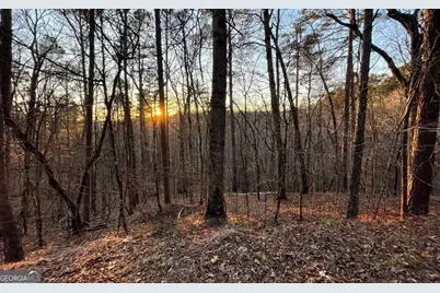 681,682 Julep Circle, Ellijay, GA 30540 - Photo 6