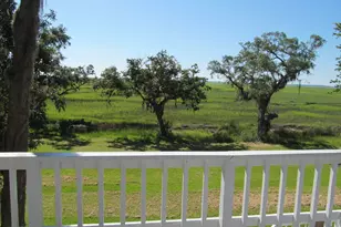 1165 Durant Dr S E, Townsend, GA 31331 - Photo 22