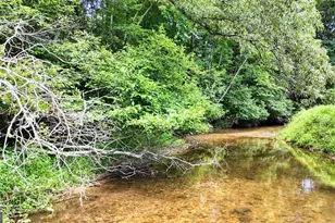 273 Coosa Valley Rd, Blairsville, GA 30512 - Photo 16