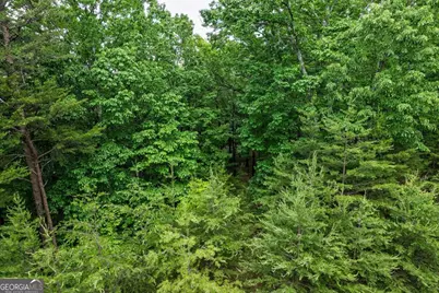 301 Ridgeside Court, Jasper, GA 30143 - Photo 20