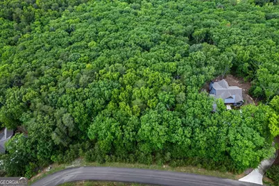 301 Ridgeside Court, Jasper, GA 30143 - Photo 4