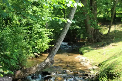 973 East Vineyard Road, Hayesville, NC 28904 - Photo 6