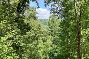 317 Collins Creek Rd, Hiawassee, GA 30546 - Photo 70