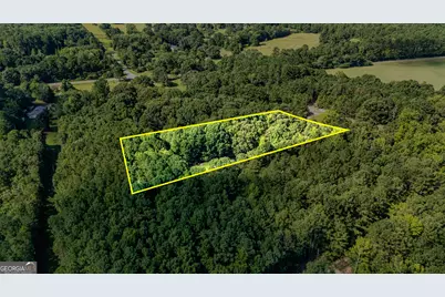 2001 Threadgill Road, Greenville, GA 30222 - Photo 6