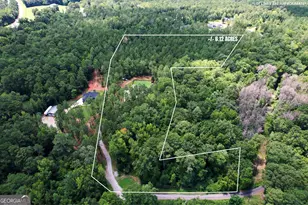 263 Bill Estes Rd, Senoia, GA 30276 - Photo 50