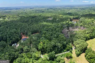 263 Bill Estes Rd, Senoia, GA 30276 - Photo 54