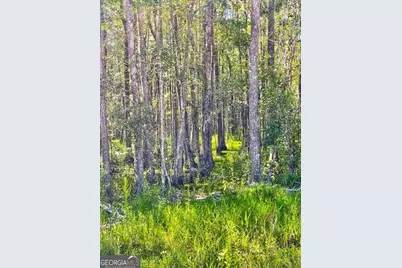 0 Incachee Road, Waverly, GA 31565 - Photo 2