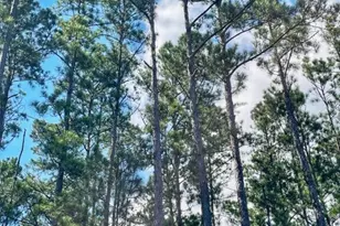 0 Incachee Rd, Waverly, GA 31565 - Photo 1