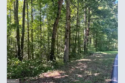 0 Old Draketown Trail, Temple, GA 30179 - Photo 4