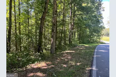 0 Old Draketown Trail, Temple, GA 30179 - Photo 2