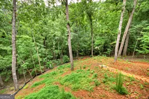 1041 Mountain Oak Rd, Ellijay, GA 30536 - Photo 38