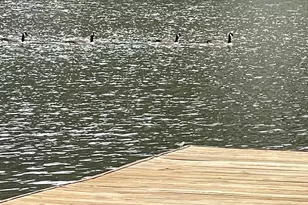 178 Southern Shores Rd, Jackson, GA 30233 - Photo 6