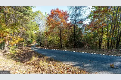 333 Song Bird Drive, Cleveland, GA 30528 - Photo 16