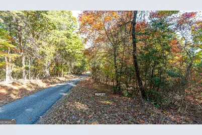 333 Song Bird Drive, Cleveland, GA 30528 - Photo 18