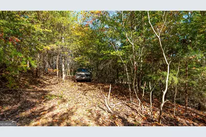 333 Song Bird Drive, Cleveland, GA 30528 - Photo 20