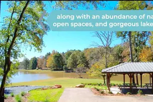 495 Great Salt Ln, Hoschton, GA 30548 - Photo 6