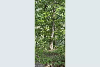 108 Timber Ridge Drive, Griffin, GA 30224 - Photo 4