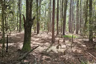 3047 John Burch Rd, Folkston, GA 31537 - Photo 14