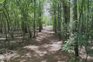 3047 John Burch Rd, Folkston, GA 31537 - Photo 4