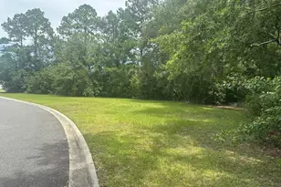 322 Nutgall Dr, Saint Marys, GA 31558 - Photo 1