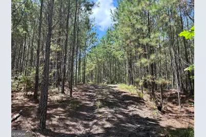 0 Black Creek Road, Gordon, GA 31031 - Photo 8