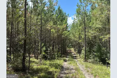 0 Black Creek Road, Gordon, GA 31031 - Photo 2