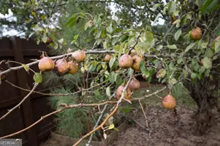 240 Bowden Ln, Athens, GA 30606 - Photo 54