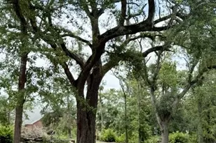 7586 Eastman Rd, Soperton, GA 30457 - Photo 24