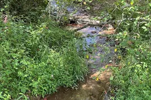 55 Chatuge Hills Dr, Hayesville, NC 28904 - Photo 2