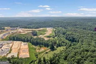 2857 Bullfrog Ln, Gainesville, GA 30507 - Photo 22