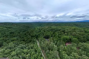 Lot 41 Wolf Creek Estates, Mineral Bluff, GA 30559 - Photo 42