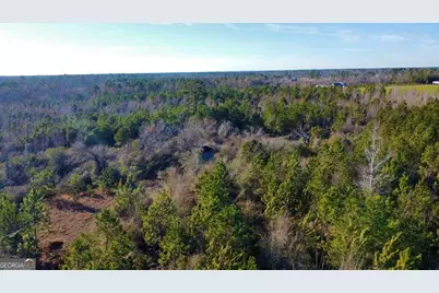 0 Herrington Road, Hazlehurst, GA 31539 - Photo 12