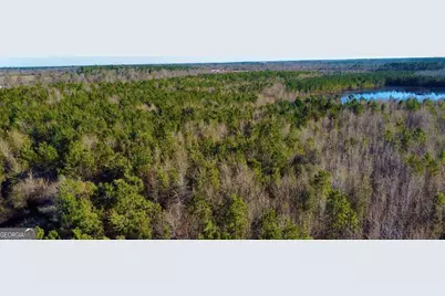 0 Herrington Road, Hazlehurst, GA 31539 - Photo 6