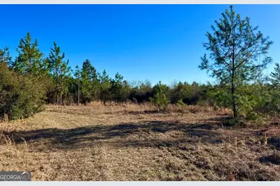 0 Herrington Road, Hazlehurst, GA 31539 - Photo 20