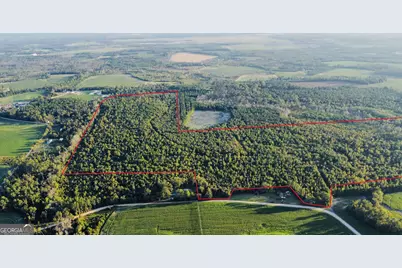 0 Herrington Road, Hazlehurst, GA 31539 - Photo 4