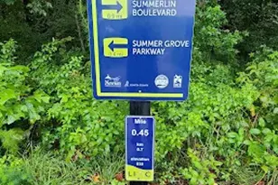 102 Harrison Park, Newnan, GA 30265 - Photo 38