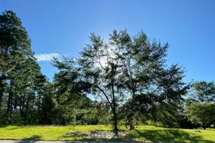 0 Deer Creek Rd, Swainsboro, GA 30401 - Photo 1