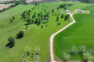 1412 Clark Rd, Blakely, GA 39823 - Photo 38