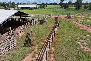 1412 Clark Rd, Blakely, GA 39823 - Photo 34