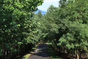 0 Overlook Loop At Young Harris, Young Harris, GA 30582 - Photo 10