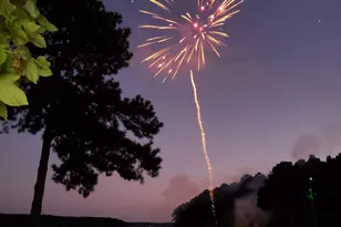 1030 Yazoo Fishery, Greensboro, GA 30642 - Photo 52