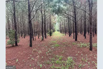 3302 Highway 67, Pembroke, GA 31321 - Photo 12