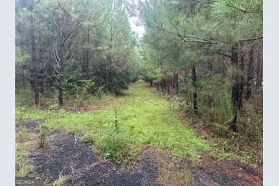 3302 Highway 67, Pembroke, GA 31321 - Photo 18