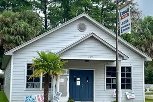 106 Nancy Ave, Fargo, GA 31631 - Photo 40