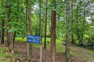 42 Wellington Dr, Marble, NC 28905 - Photo 38