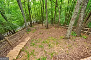 708 Wilson Mountain Rd, Blairsville, GA 30512 - Photo 38