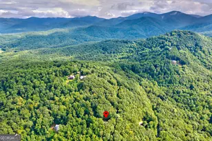 708 Wilson Mountain Rd, Blairsville, GA 30512 - Photo 6