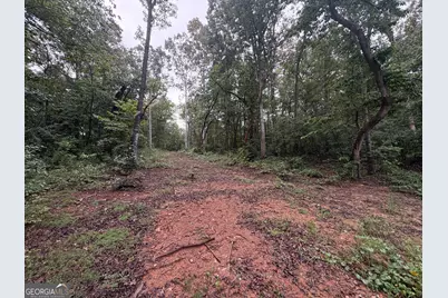 0 Nails Creek Crossing, Royston, GA 30662 - Photo 4