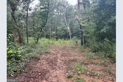 0 Nails Creek Crossing, Royston, GA 30662 - Photo 6