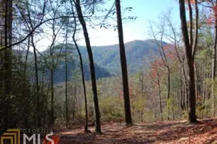 0 Hwy 28, Clayton, GA 30525 - Photo 1
